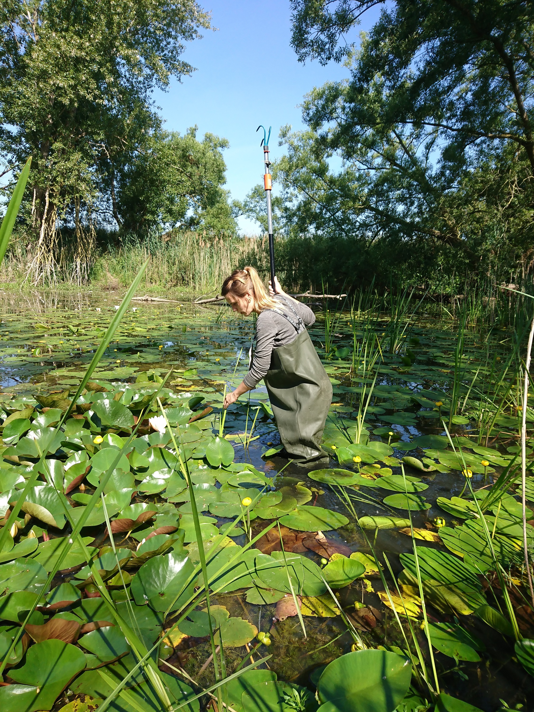 Marga Kartierung NABU Schlurmann