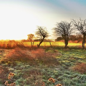 Die drei Weisen der Emmericher Ward