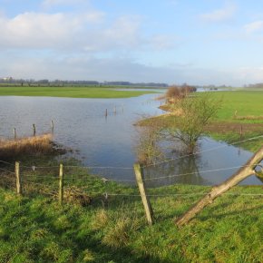 Hochwasser in der Emmericher Ward