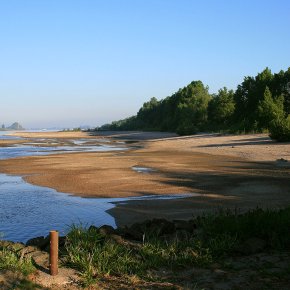 Die flachen Buhnenbereiche dienen Fischen als Ruheraum