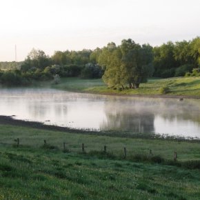 Oxbow lake in the Emmericher Ward
