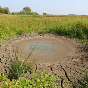Dried-out oxbow lake in the Emmericher Ward