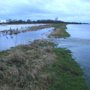 Emmericher Ward flooded