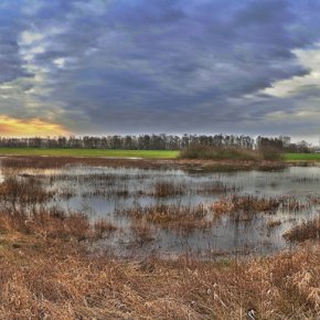 The skies above the Emmericher Ward
